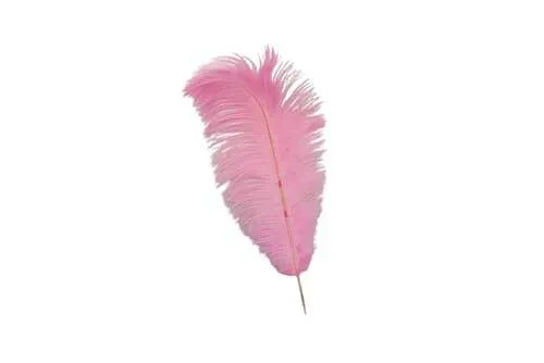 FL018 Feathers - Pink 16 inch