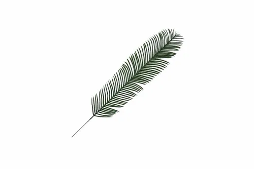 AFL161 Leaves - Palm Leaf Narrow