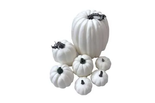 AFP02 Pumpkin - White