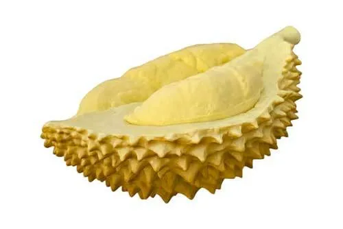 AFD03 Artificial Durian