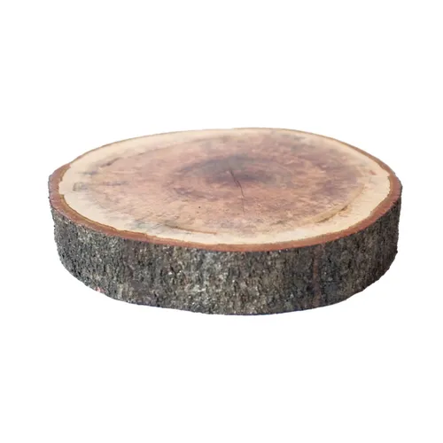 DS02 Serving Log - Bark Medium 2 inch