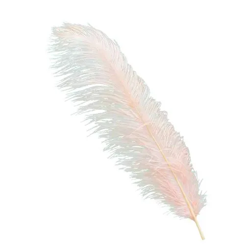 FL016 Feathers - Peach Champagne 19 inch