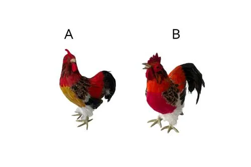 PRP061 Rooster