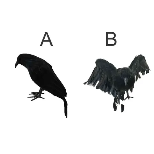 PRHP022 Harry Potter - Raven