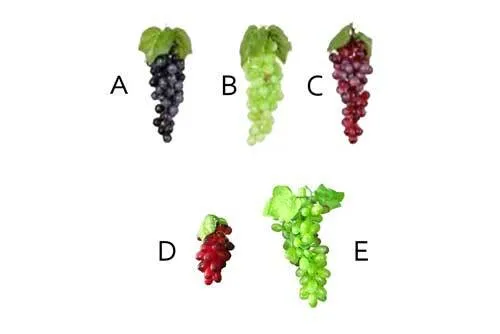 AFG01 Artificial Grapes