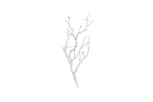 AFTR1021 Branches - White