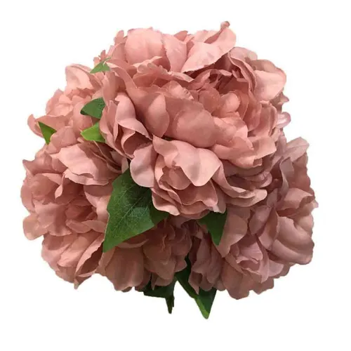 AF110 Peony Bush - Dusty Pink