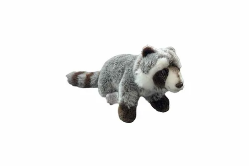 KDDT24 Raccoon