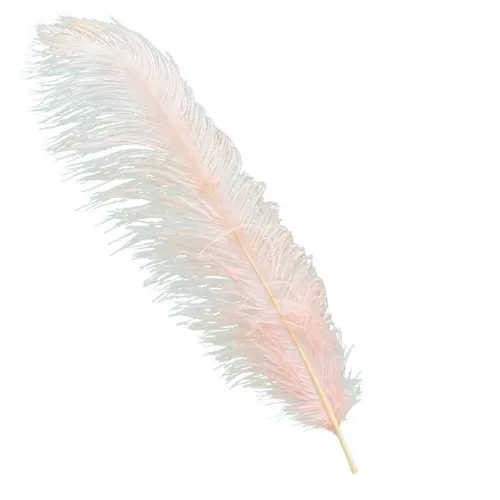 FL015 Feathers - Peach Champagne 25 inch