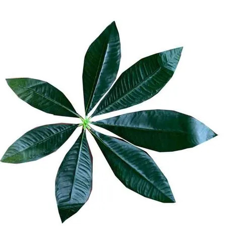 AFL140 Leaves - Tropical Dark Green Assorted