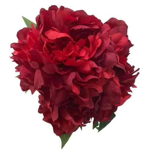 AF111 Peony Bush - Scarlet Red