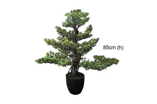 AFTR127 Tree - Bonsai