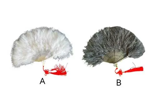 PRG083 Feathers Fan