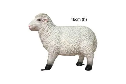 KDDT50 Lamb