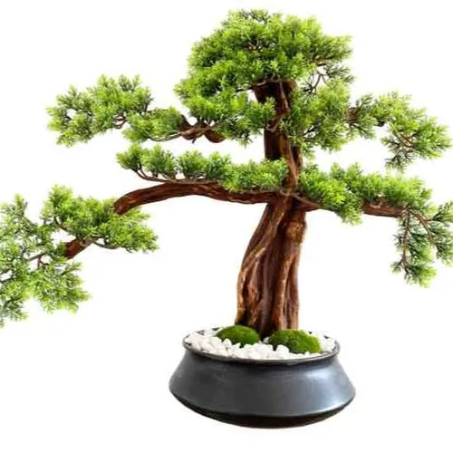 AFTR121 Tree - Bonsai Large