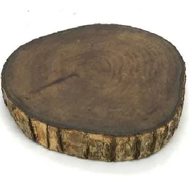 DS063 Serving log - bark