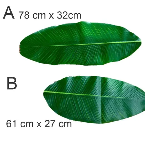 AFL110 Leaves - Banana No Stalk