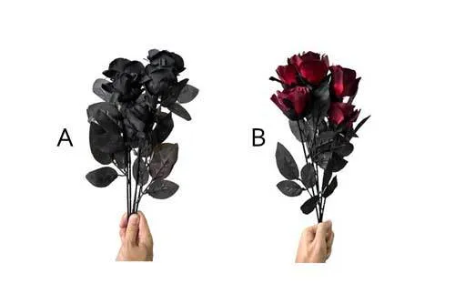 AF123 Black & Deep Red Rose