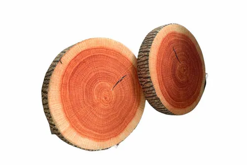 BC101 Cushion - Wood Log