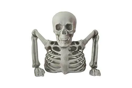 PRSK012 Skeleton - Half Body