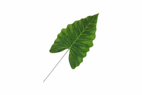 AFL150 Leaves - Taro Leaf