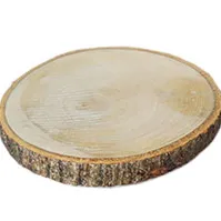 DS012 Serving Log - Bark Medium 1 inch