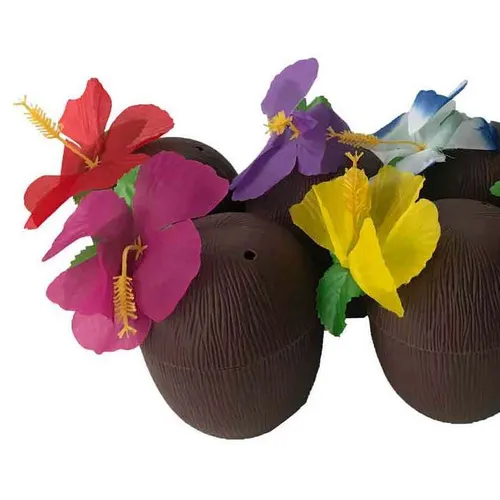 BD202 Coconut Sippy Cup