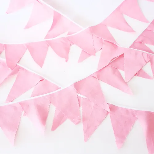 BT06 Bunting - Baby Pink