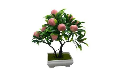 AFTR124 Peach Tree - Bonsai