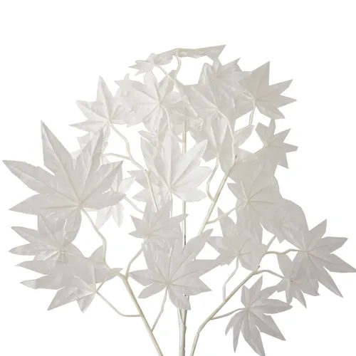 AF07 Japanese Maple - White