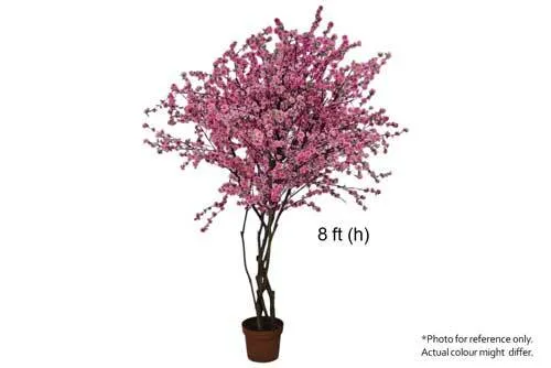 AFTR512 Cherry Blossom Tree