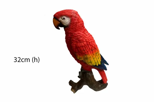 PRP04 Parrot - Macaws
