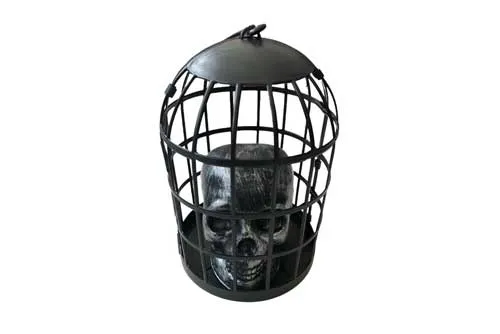 PRSK04 Skull in Cage