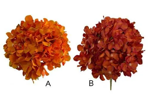 AF1052 Orange Hydrangea