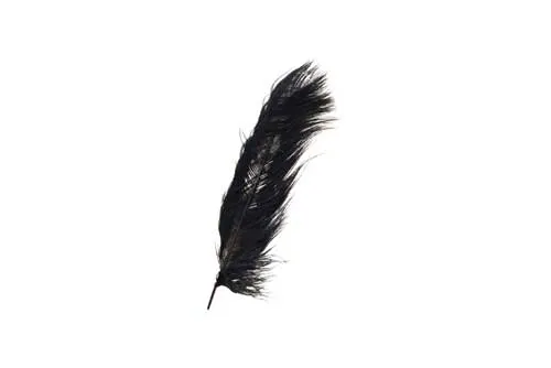 FL0141 Feathers - Black 14 inch