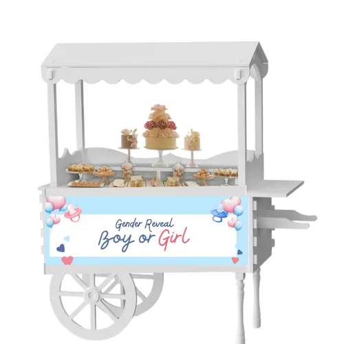 Gender Reveal Themed Whimsical Party and Event Dessert Candy Vintage Cart Rental