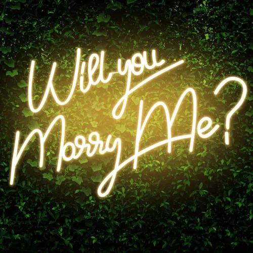 Party Rental - Will You Marry Me Large Light Up Sign 