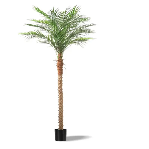 Party Rentals - Palm Tree 7ft 