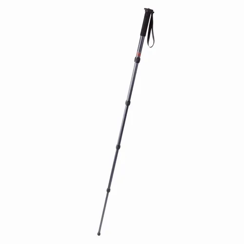 Promaster MP528 Professional Monopod