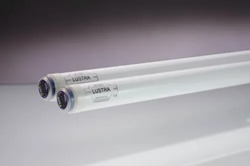 Kino Bulb (Set of 6) 4' 5600K #9