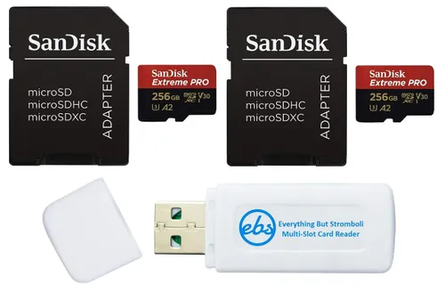 (Drone) Sandisk Micro SD 256