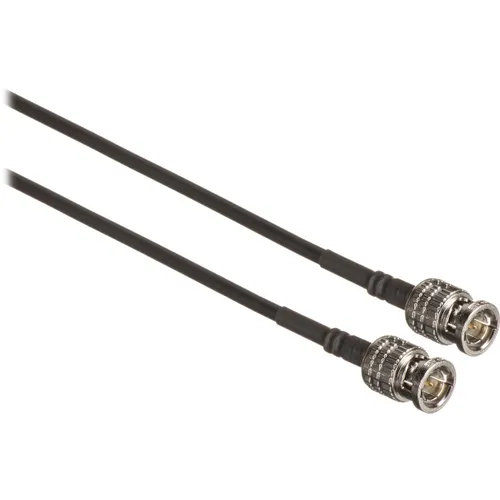 SDI cable (10')