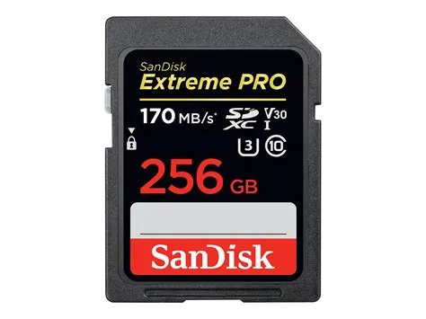 SD Card 256 GB