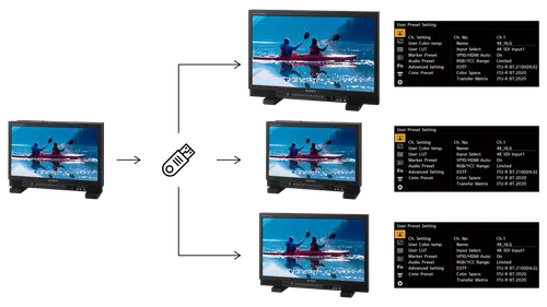 Sony LCD Multiview Monitor 