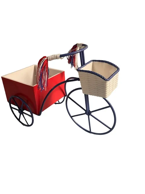 Bicycle- Table top decor