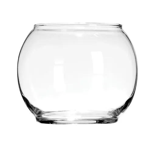 Clear Fish Bowl