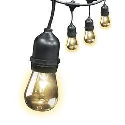 Edison String Lights