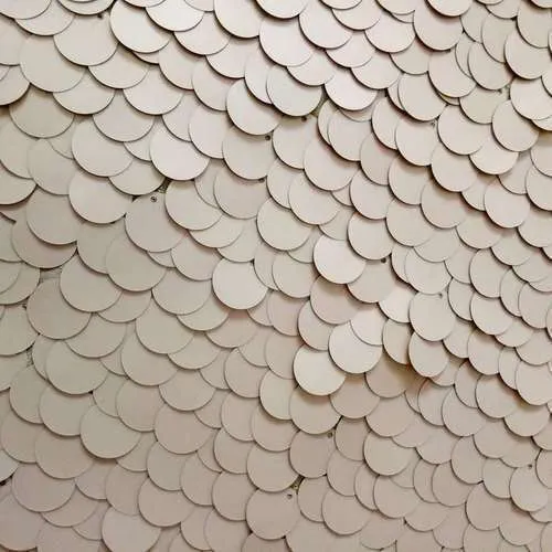  Pallíettur - stórar kampavíns