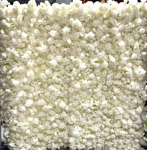 Premium blómabakgrunnur - Alveg hvítur