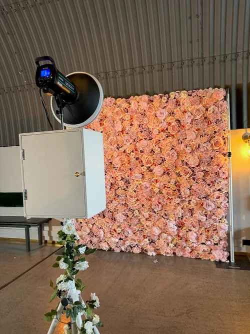 Premium blómabakgrunnur - Bleikur